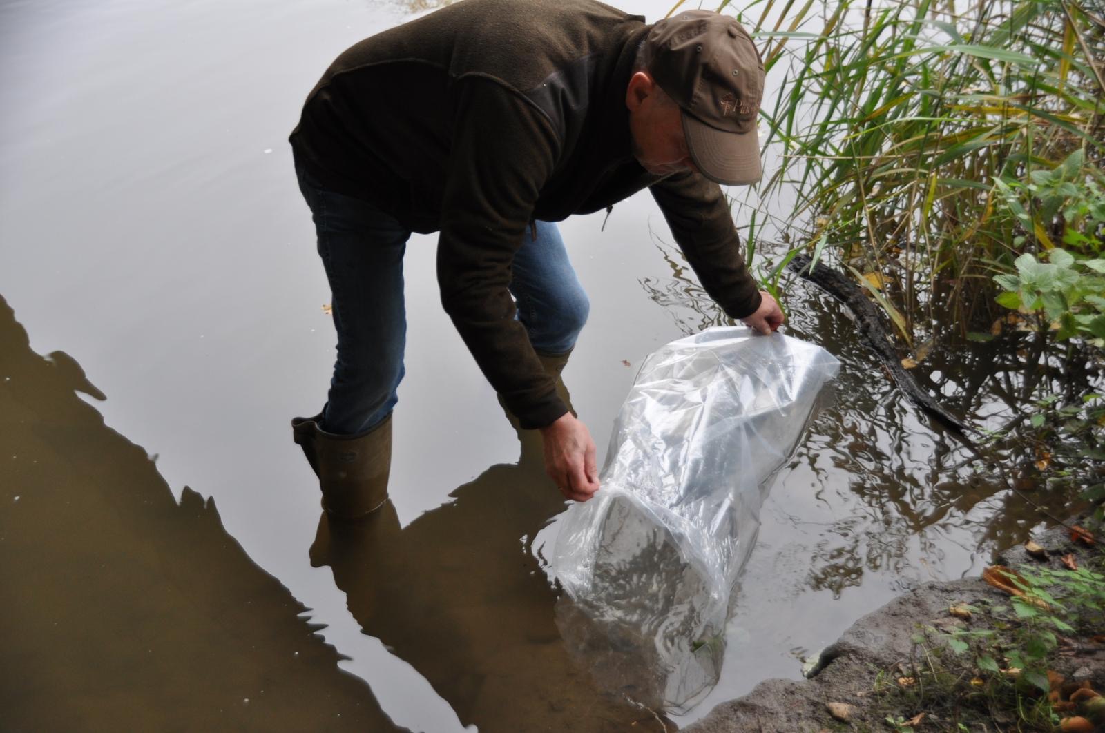 64ff10ec-de35-403e-acc4-95c404a6ab6c