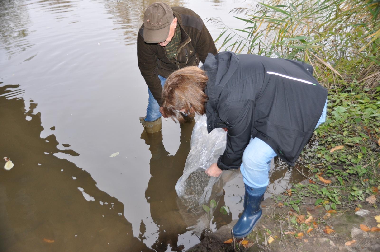 8cc6a69d-a391-47a6-9f2c-960f3e4a5dea