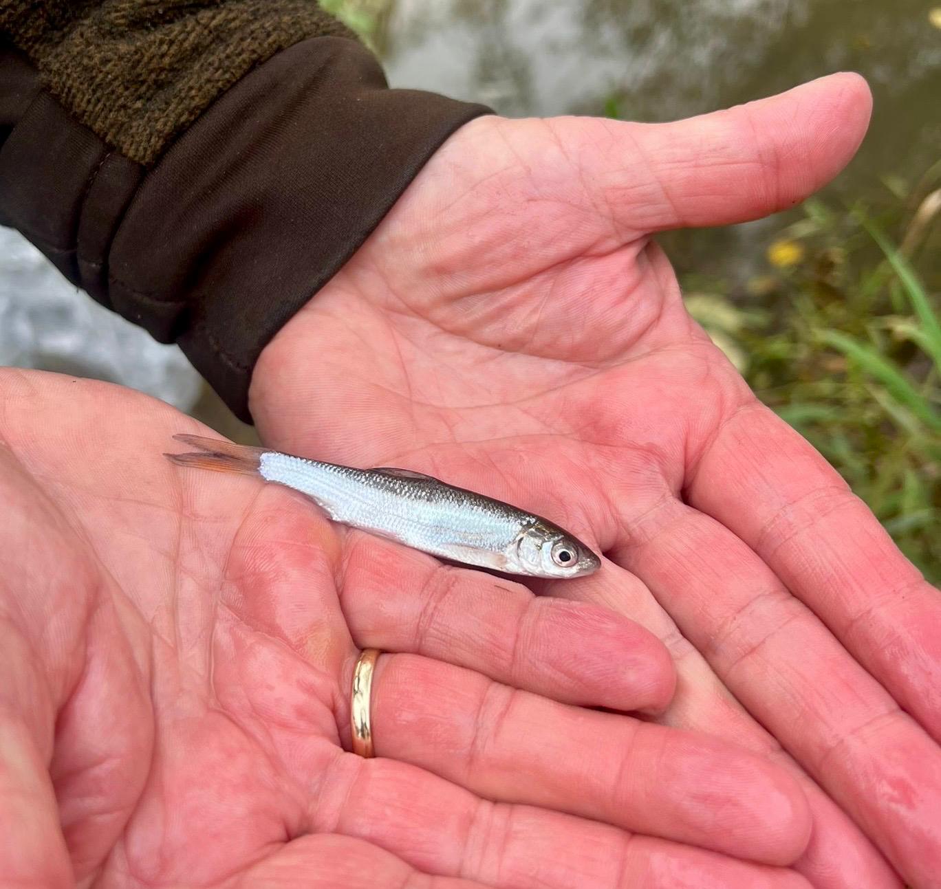 9bd97302-af02-430b-8df9-bab5ad53fa19