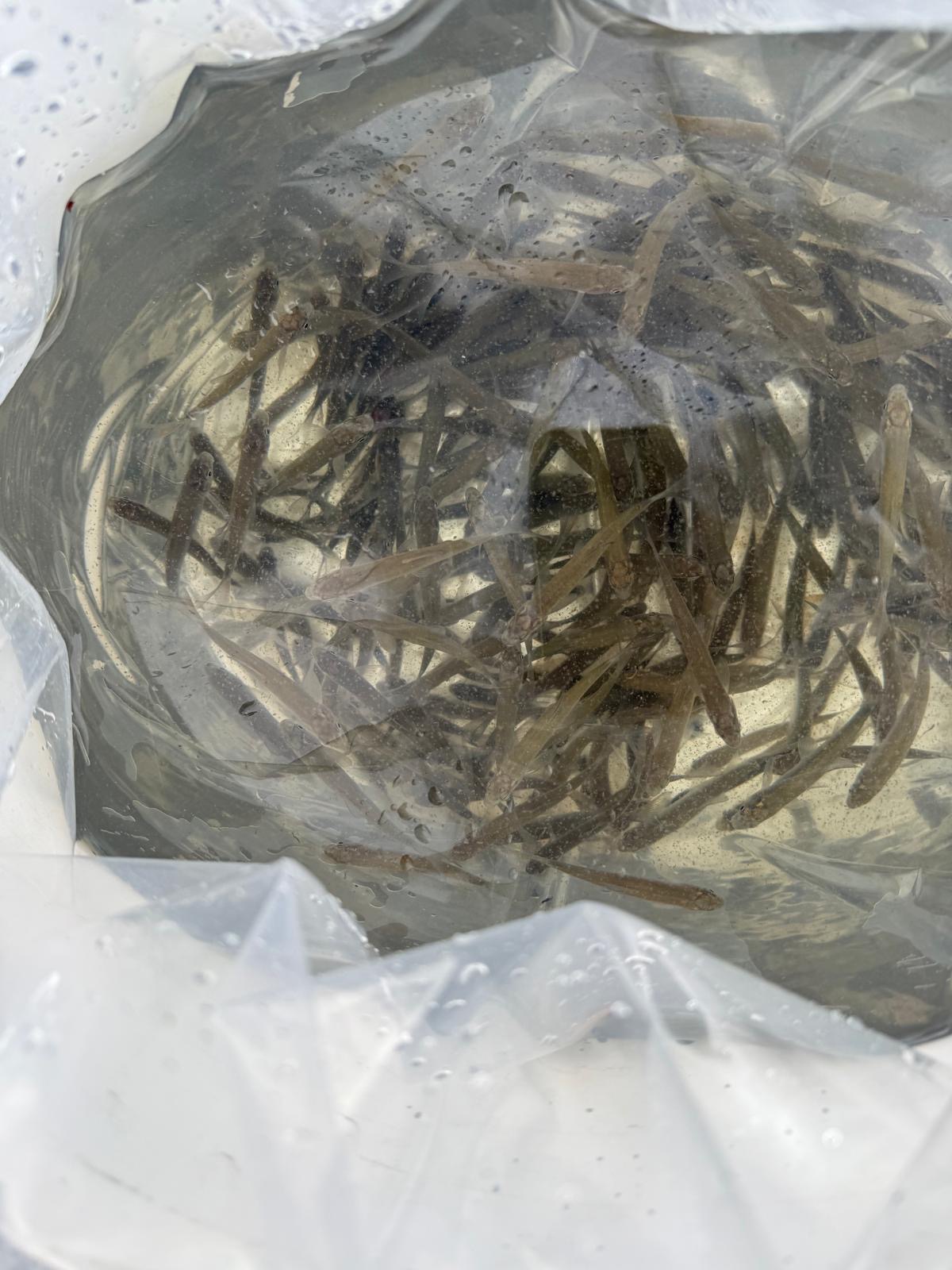 fec5a0cc-33d8-4b3c-9485-2b058f7abf50